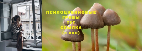 гидропоника Вязьма